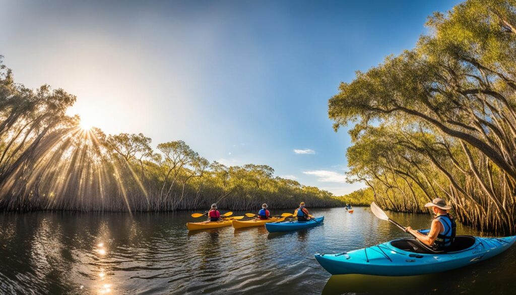 Best kayaking tours in Tampa mangroves Best kayaking tours in Tampa mangroves