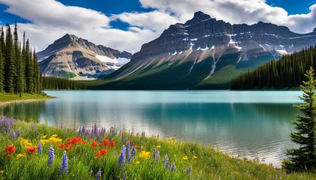 Bow Lake Bow Lake