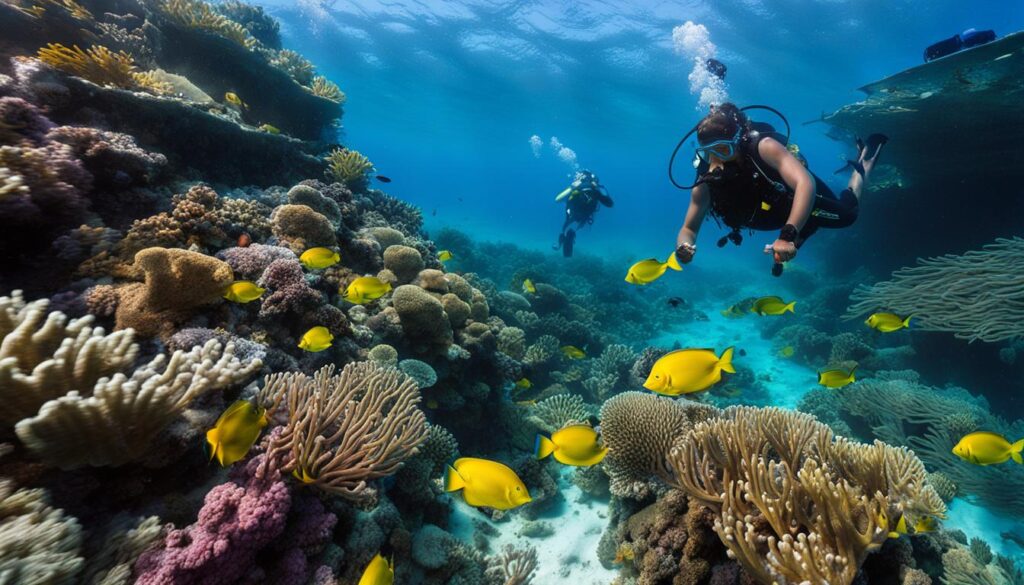 Bridgetown Snorkeling Excursions Bridgetown Snorkeling Excursions