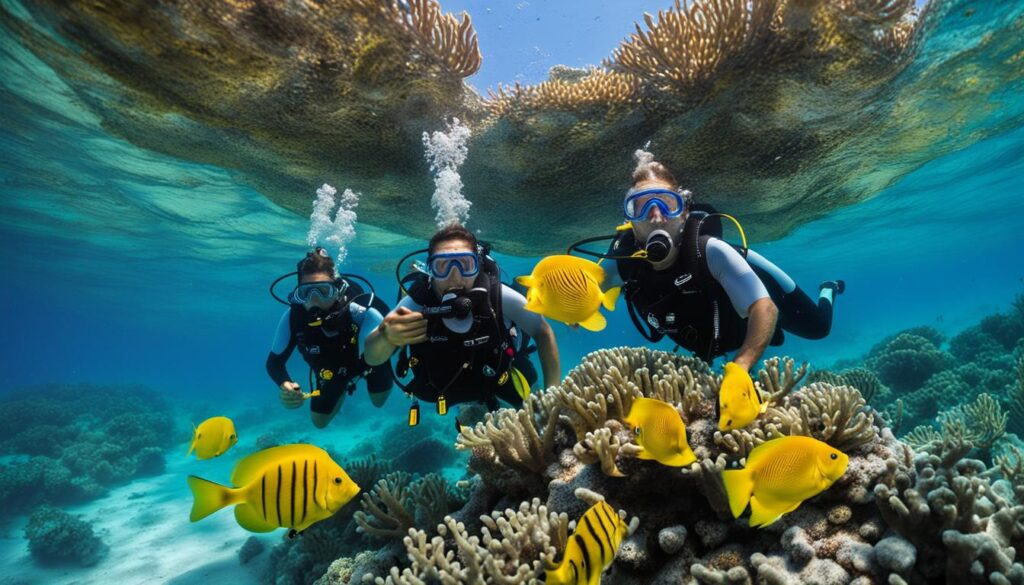 Budget-friendly scuba diving Cancun Budget-friendly scuba diving Cancun