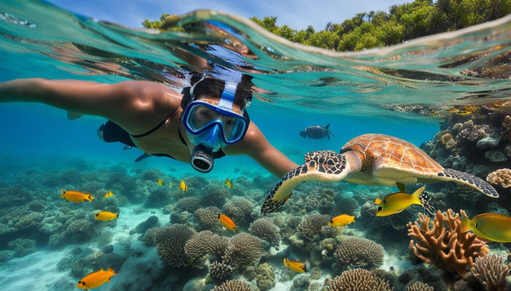 Caribbean Excursions Caribbean Excursions