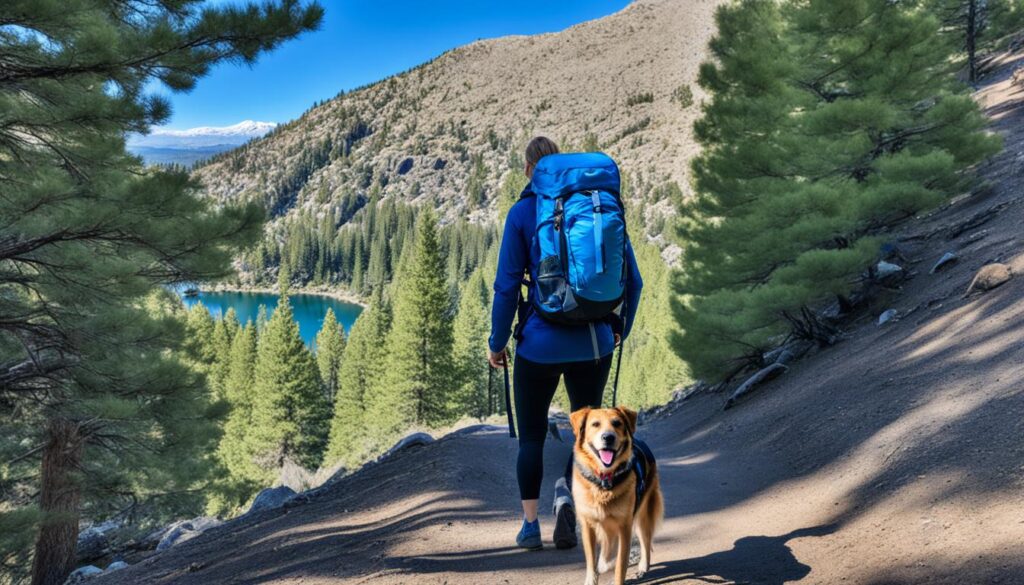 Carson City dog-friendly trails Carson City dog-friendly trails