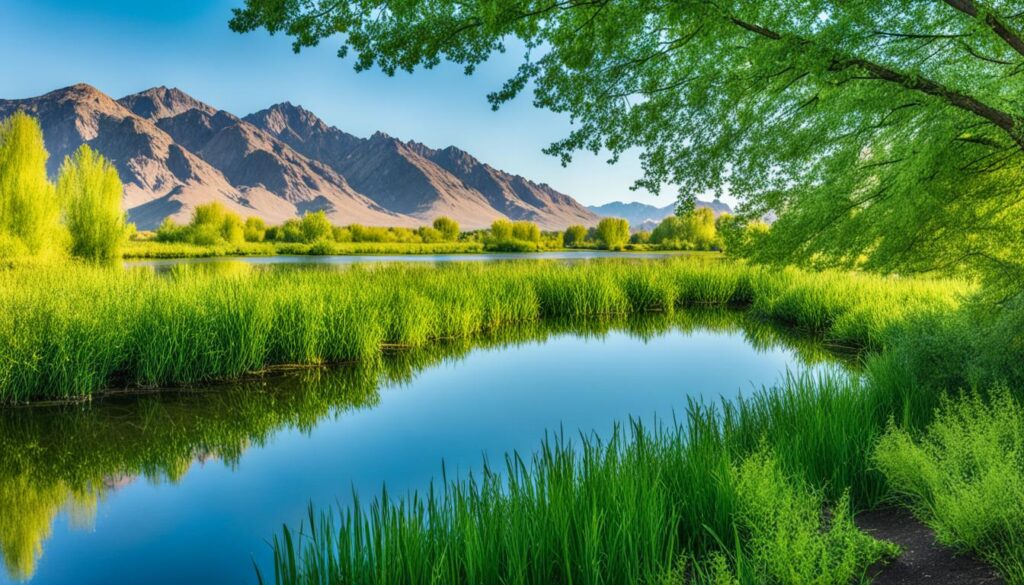 Clark County Wetlands Park Clark County Wetlands Park