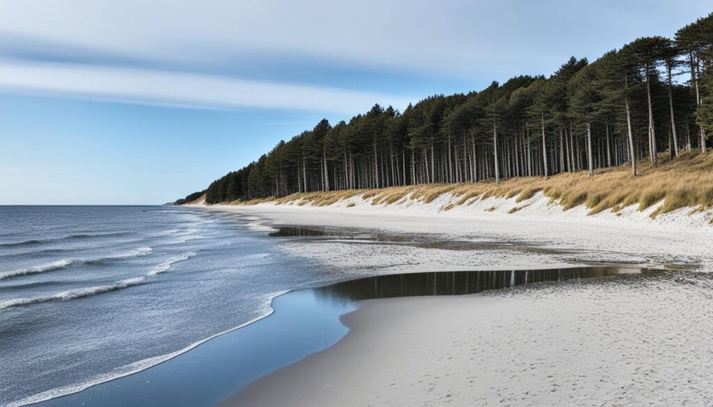Denmark tourism Denmark tourism