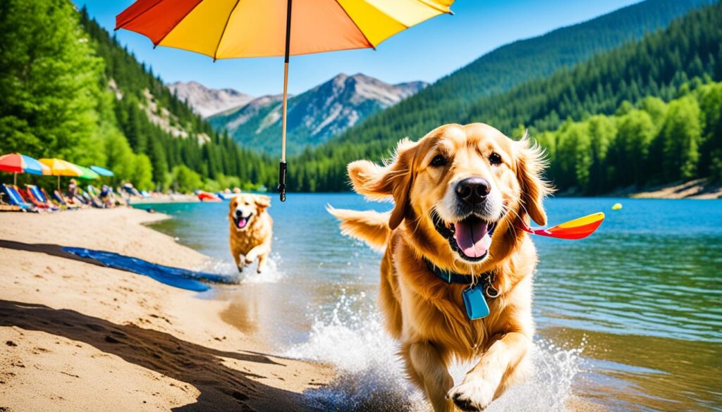 Dog-friendly beach in Reno Dog-friendly beach in Reno
