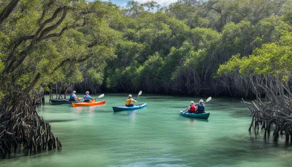 Eco-Friendly Kayak Tours in Tampa Bay Eco-Friendly Kayak Tours in Tampa Bay