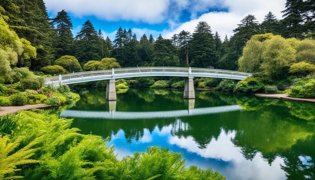 Golden Gate Park Golden Gate Park
