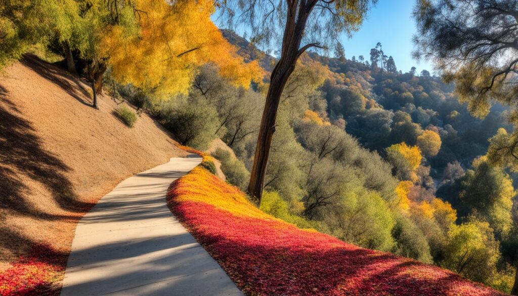 Griffith Park Hiking Trails Griffith Park Hiking Trails