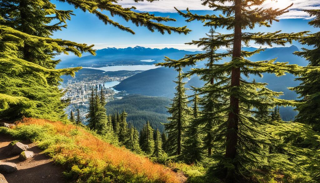 Grouse Mountain Grouse Mountain