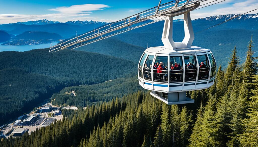 Grouse Mountain Bird's Eye View Grouse Mountain Bird's Eye View