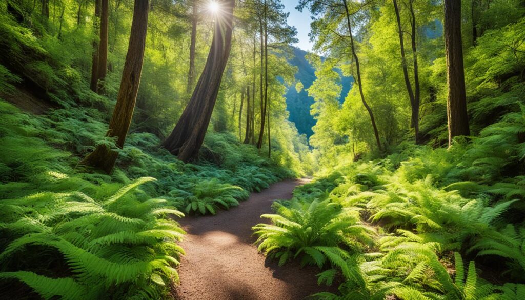 Henderson hiking trails image Henderson hiking trails image