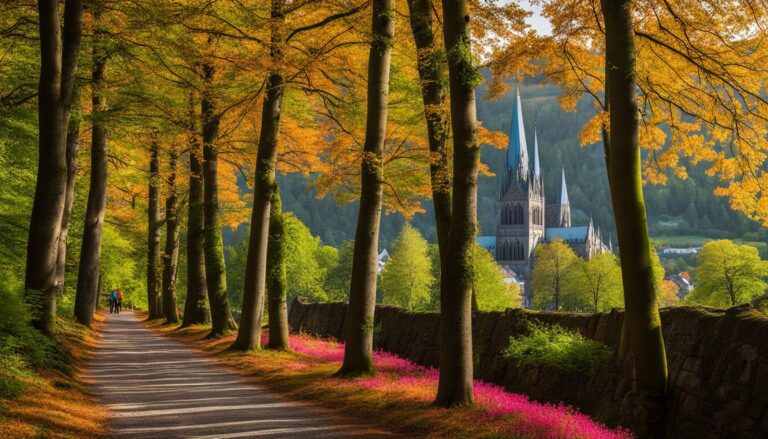 How do I plan a hike to the top of Nidaros Cathedral?