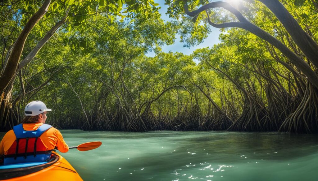 Kayak rental in Florida Kayak rental in Florida