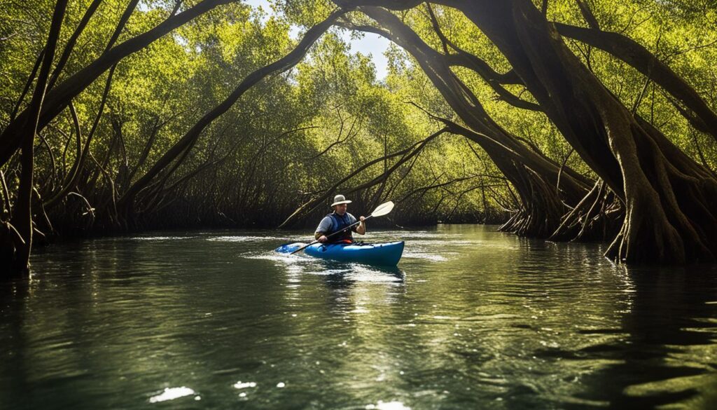 Kayaking in the Fort Lauderdale mangroves Kayaking in the Fort Lauderdale mangroves