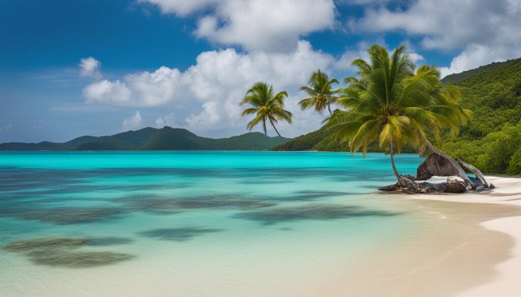 Love Beach Love Beach