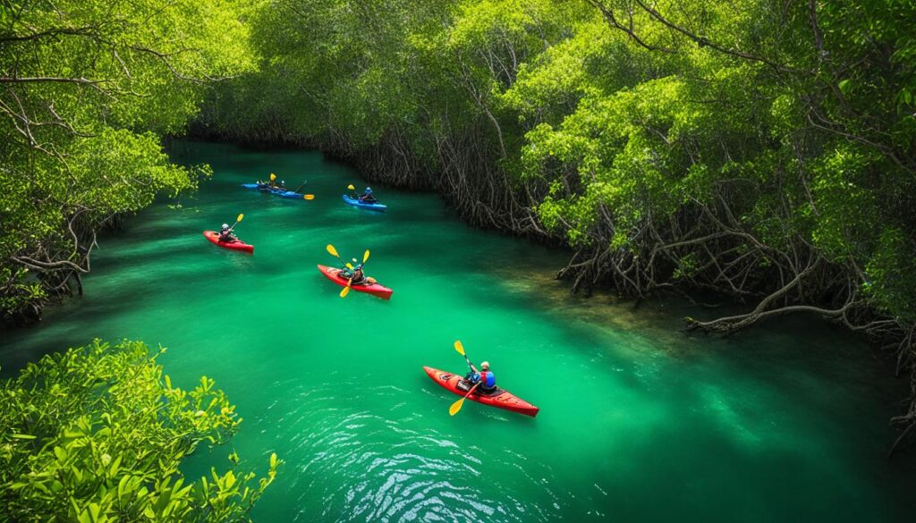 Miami outdoor adventures Miami outdoor adventures