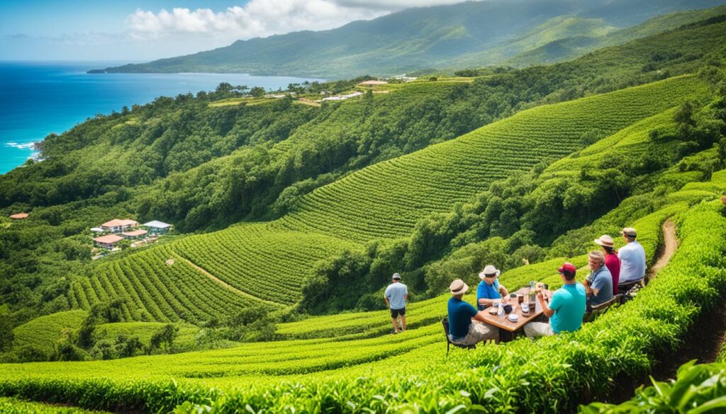 Montego Bay coffee sightseeing tours Montego Bay coffee sightseeing tours