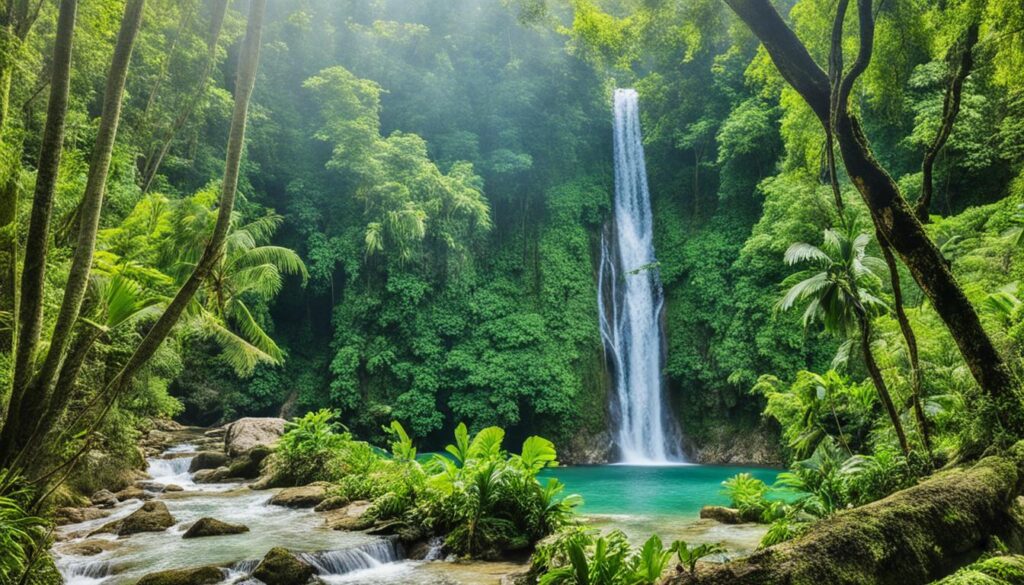 Montego Bay hiking and nature Montego Bay hiking and nature