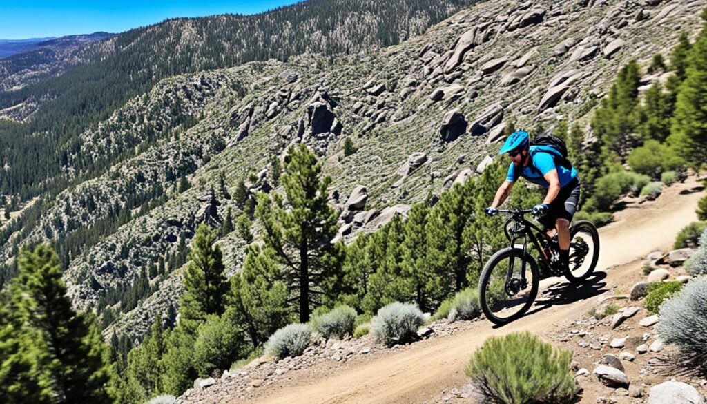 Mountain Biking Near Reno Mountain Biking Near Reno