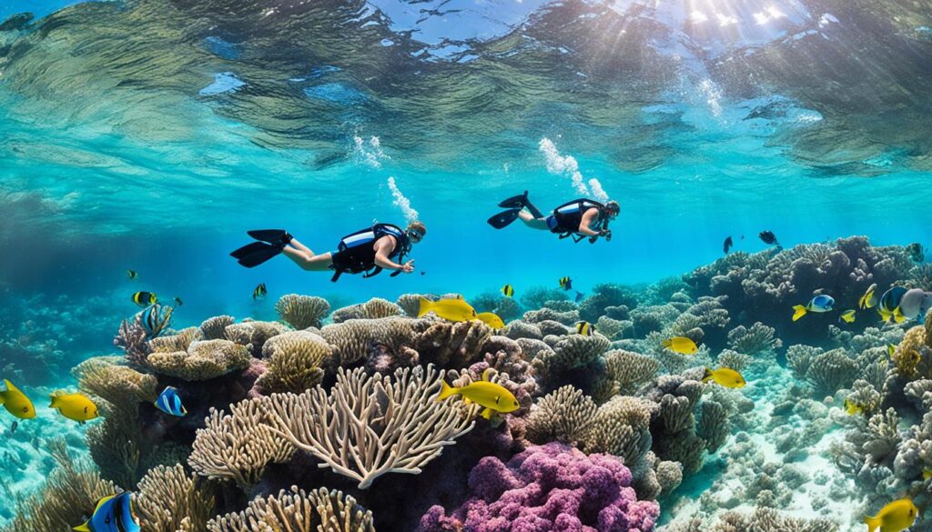Nassau snorkeling excursions Nassau snorkeling excursions