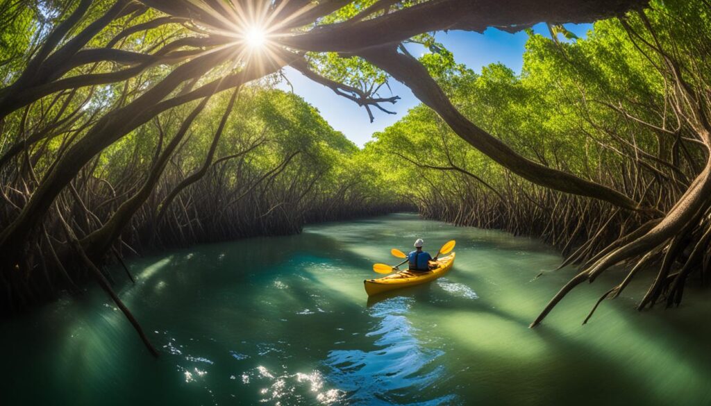 Paddle the mangrove tunnels Paddle the mangrove tunnels