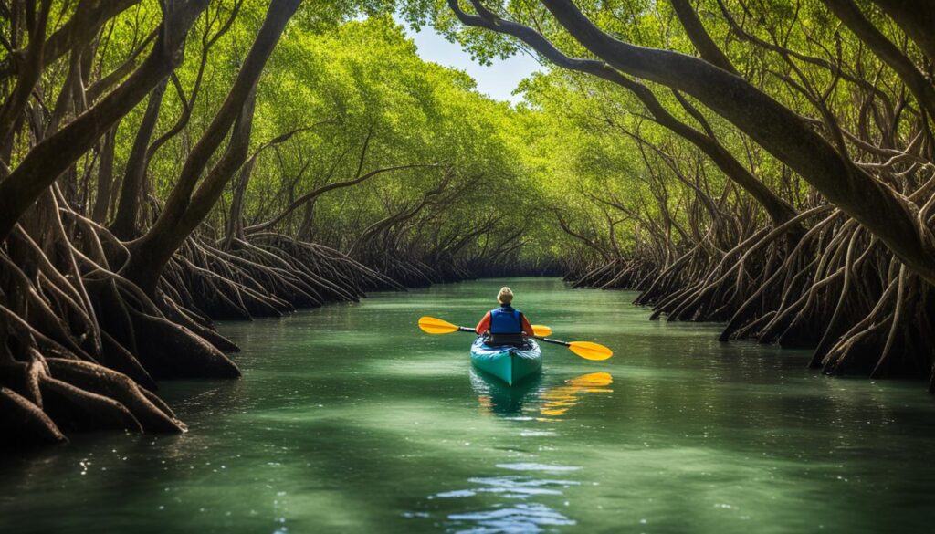 Paddle the mangrove tunnels Paddle the mangrove tunnels