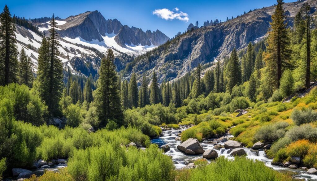 Picturesque Hikes near Reno Picturesque Hikes near Reno