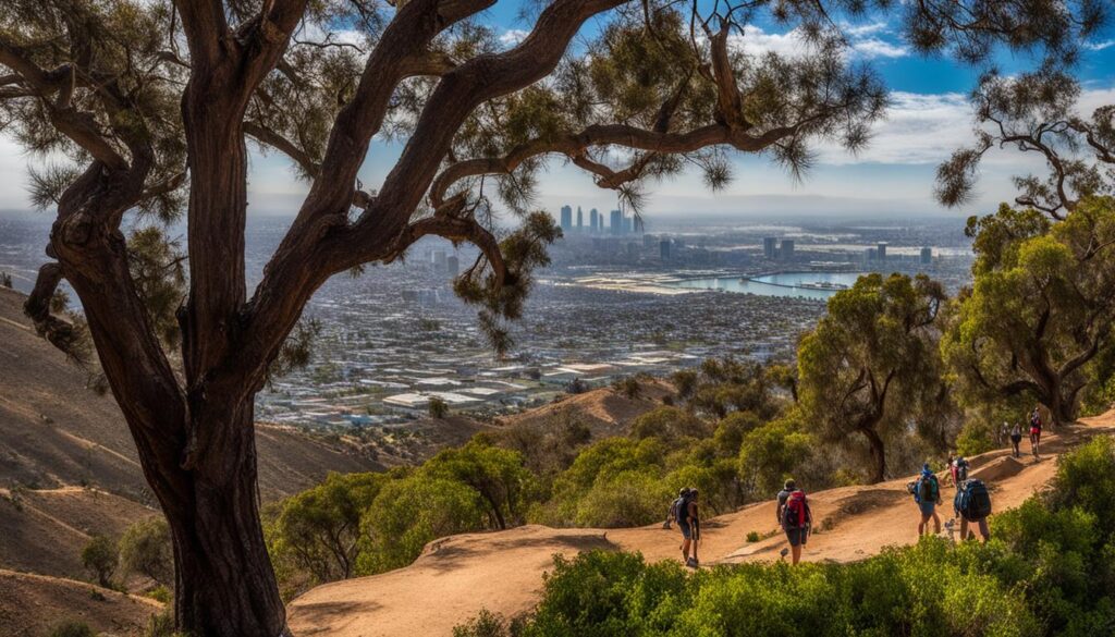 Popular hiking trails near San Diego Popular hiking trails near San Diego