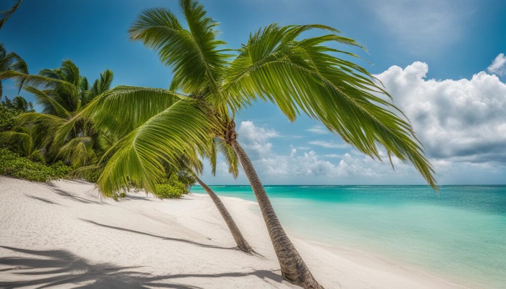 Punta Cana Humidity Punta Cana Humidity