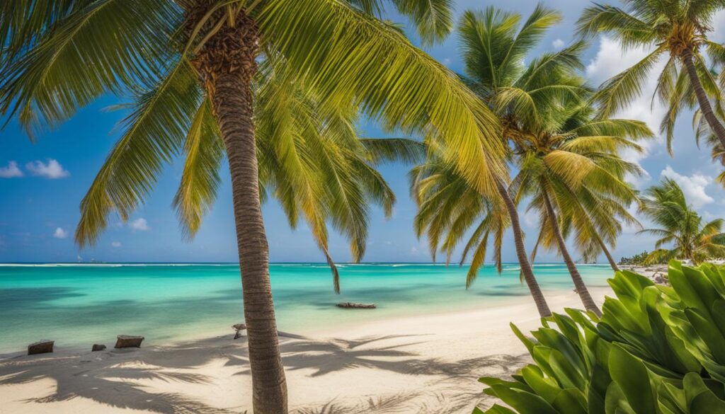 Punta Cana money-saving tips Punta Cana money-saving tips