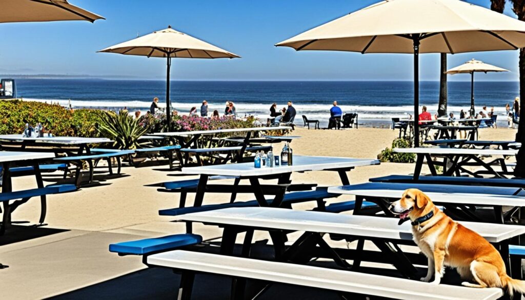 San Diego Pet-Friendly Dining San Diego Pet-Friendly Dining