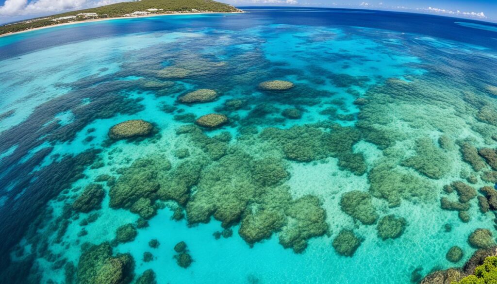 Scuba diving excursions in Bridgetown Scuba diving excursions in Bridgetown