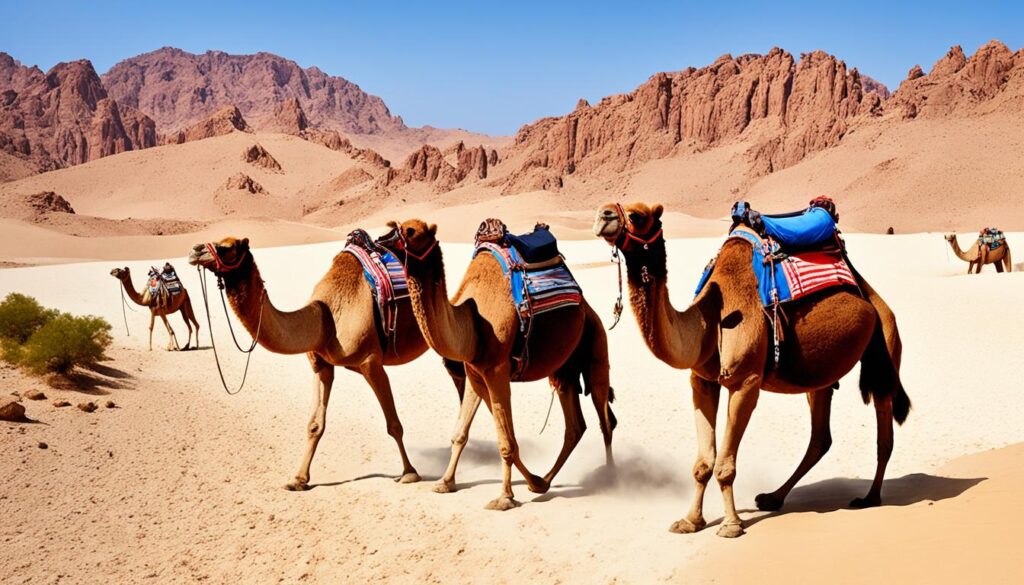Sharm El Sheikh Excursions Sharm El Sheikh Excursions