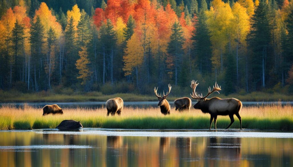 Soomaa National Park Fifth Season Estonia Soomaa National Park Fifth Season Estonia