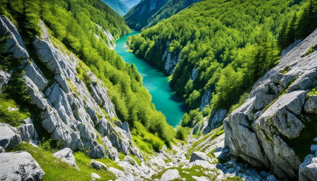 Sutjeska National Park Adventures Sutjeska National Park Adventures