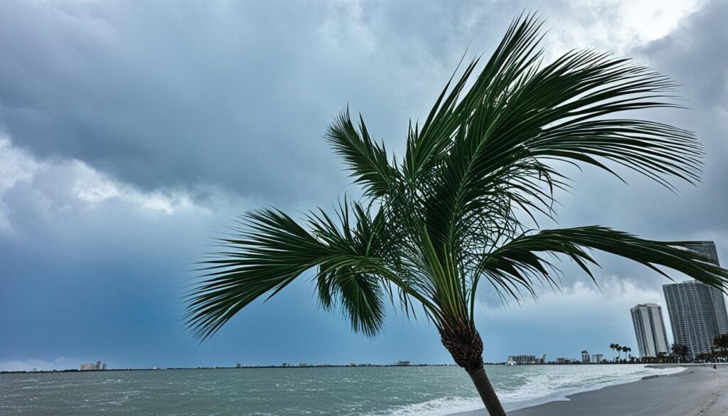 Tampa Off-Season Weather Tampa Off-Season Weather