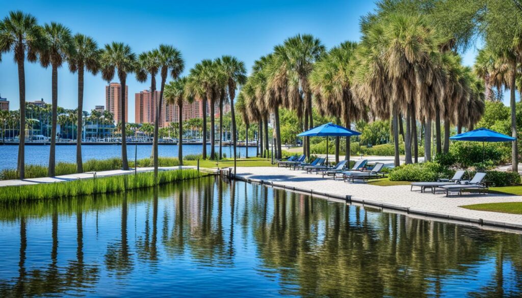 Tampa relaxation Tampa relaxation