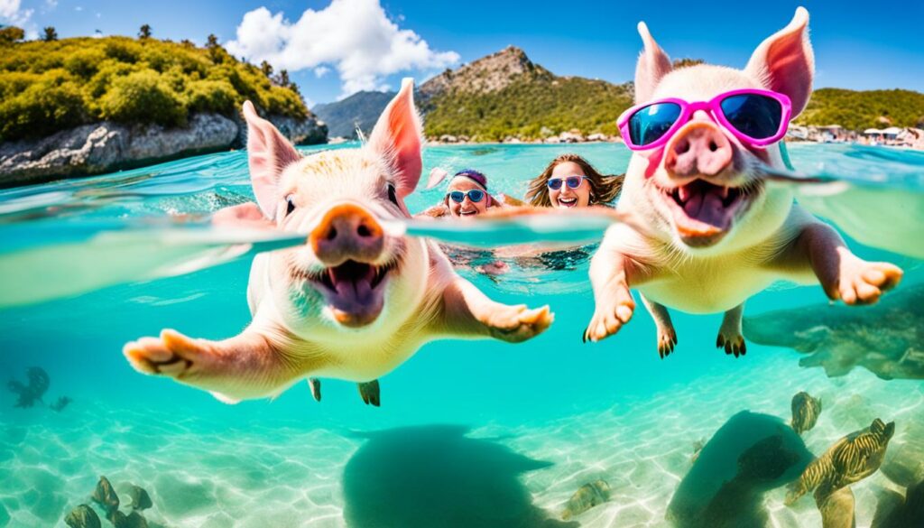 Top-rated pig beach excursions Top-rated pig beach excursions