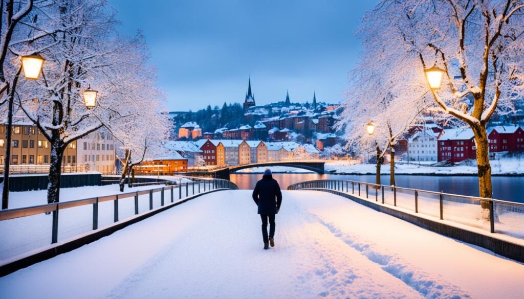 Trondheim Winter Trondheim Winter