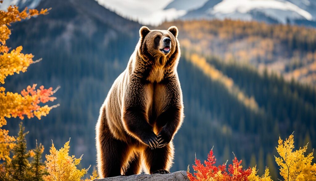 Wildlife in Banff Wildlife in Banff
