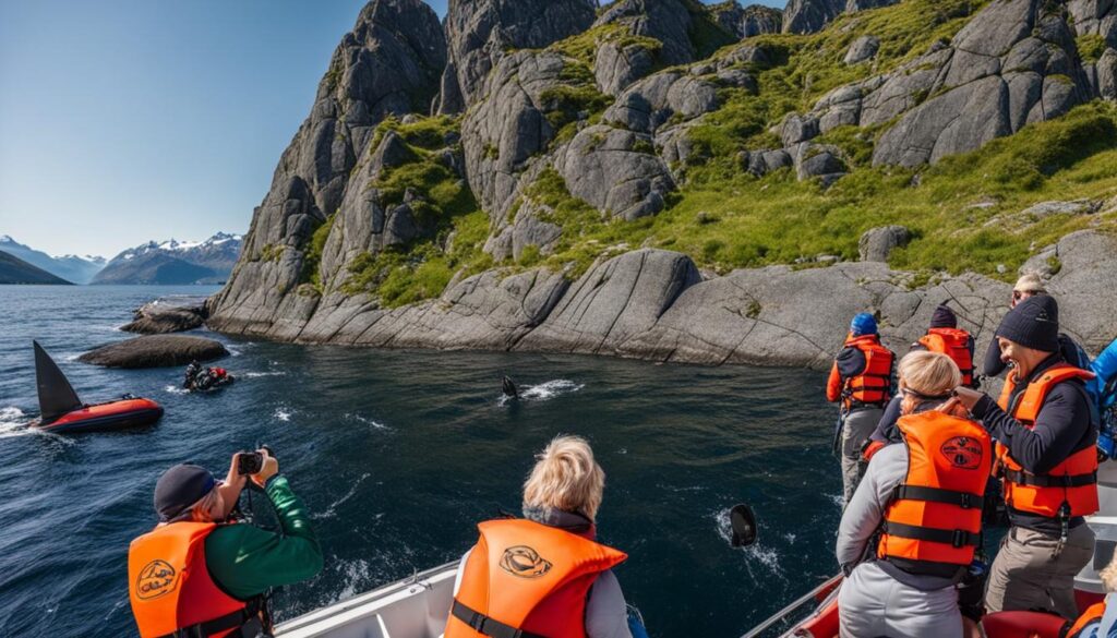 best things to do in Trondheimsfjord best things to do in Trondheimsfjord