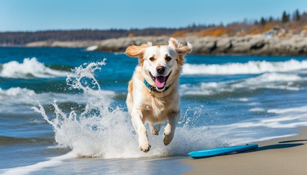 canine-friendly vacation spots in Canada canine-friendly vacation spots in Canada