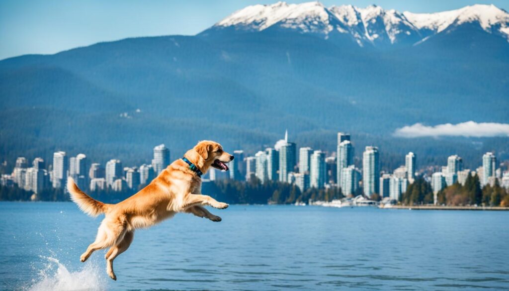 dog-friendly water activities in Vancouver dog-friendly water activities in Vancouver