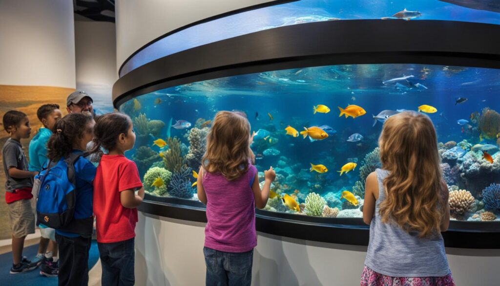 family-friendly activities in San Diego family-friendly activities in San Diego