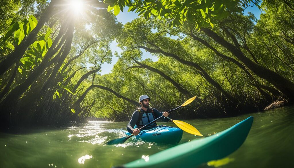 kayak tour in Tampa mangroves kayak tour in Tampa mangroves