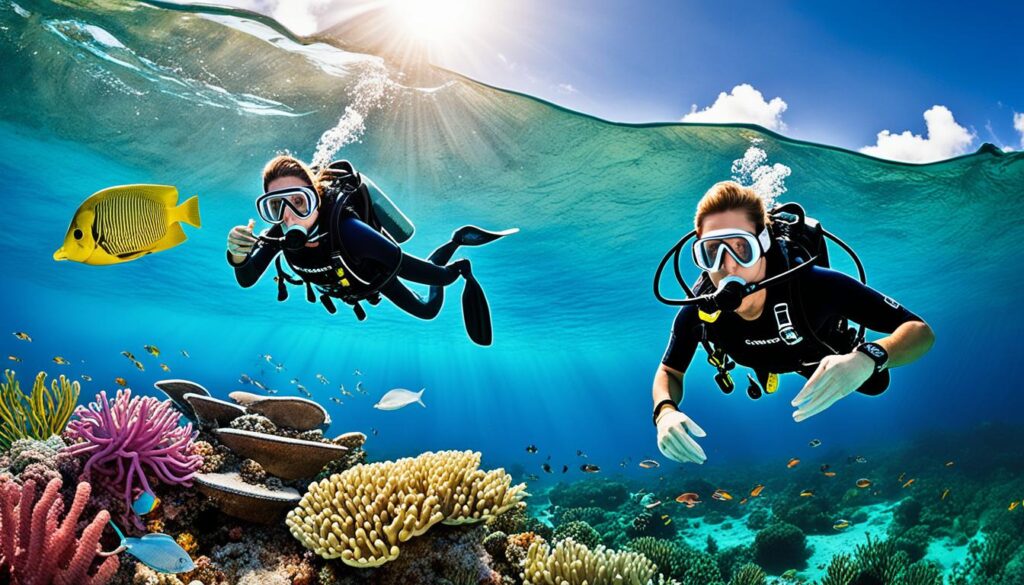 marine conservation organizations in the Caribbean marine conservation organizations in the Caribbean