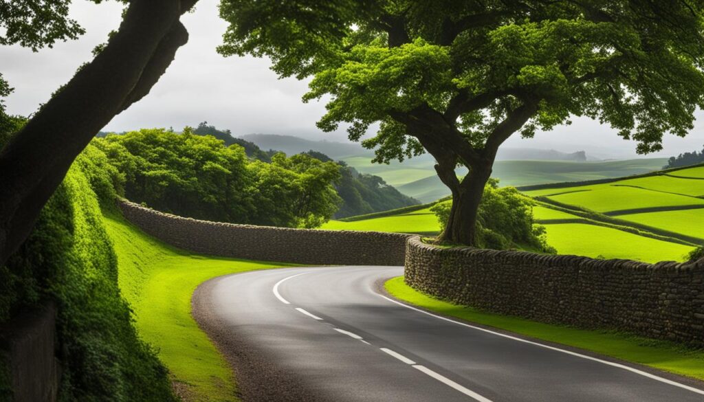 narrow lanes narrow lanes