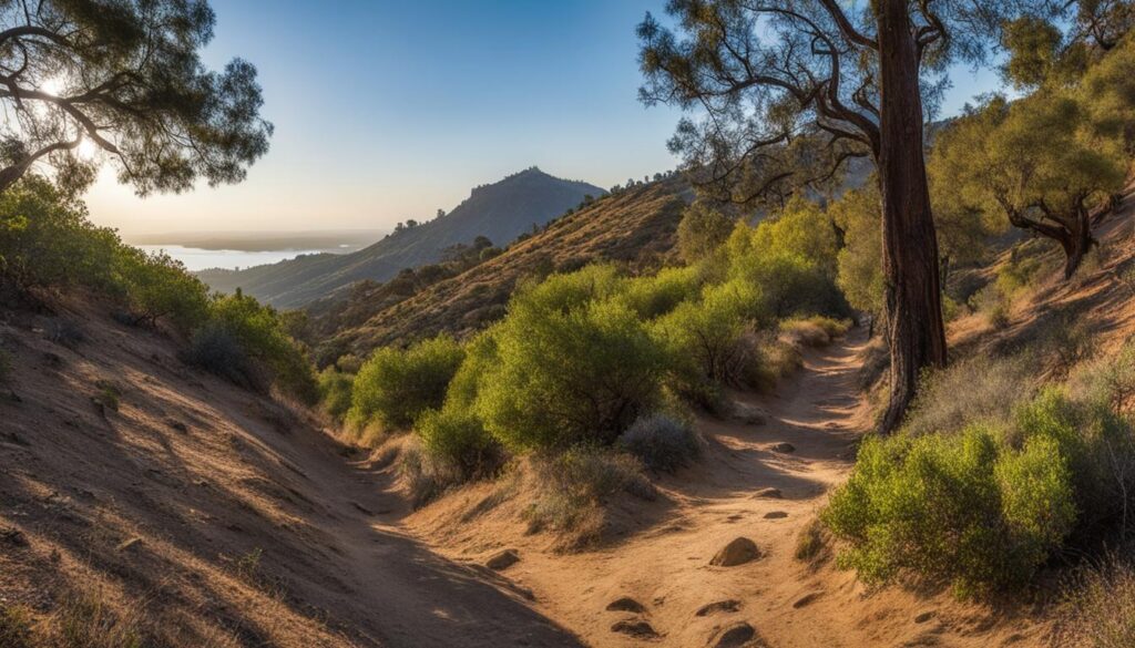 popular hiking trails near San Diego popular hiking trails near San Diego