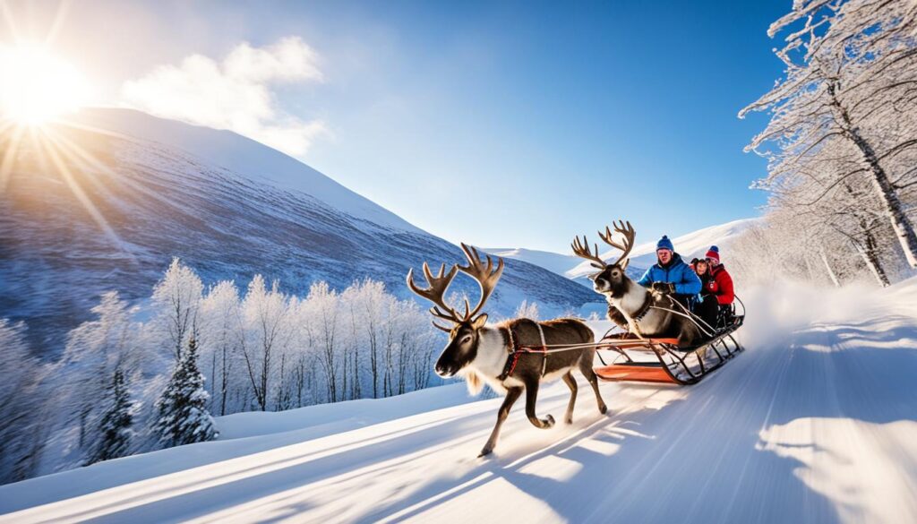 reindeer sledding in Tromsø reindeer sledding in Tromsø