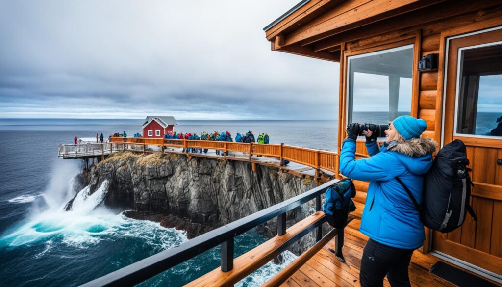 remote coastal cabin whale watching remote coastal cabin whale watching